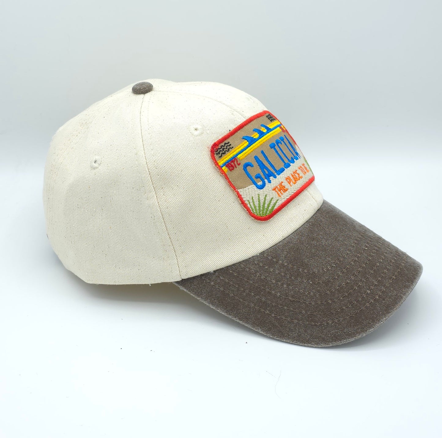 GORRA MARRÓN CON PARCHE